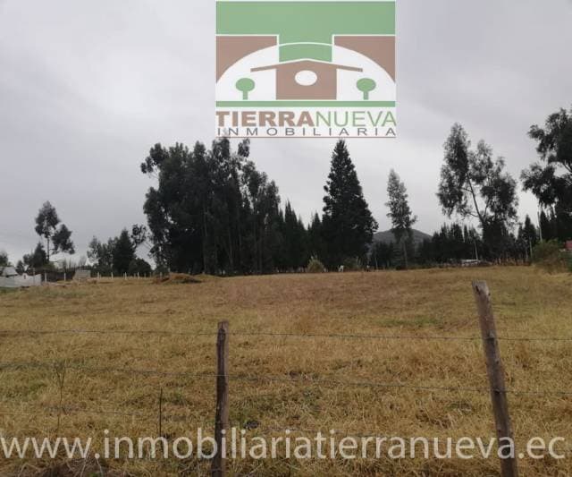 EN VENTA TERRENO DE 3.128M2 EN CHAUPILOMA -TABACUNDO - 1