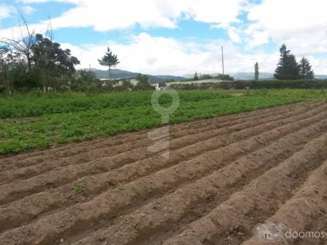 Hermoso Terreno con excelente visual, para proyecto turistico/ Beautiful Land with excellent visual , for tourist project or housing / - 1