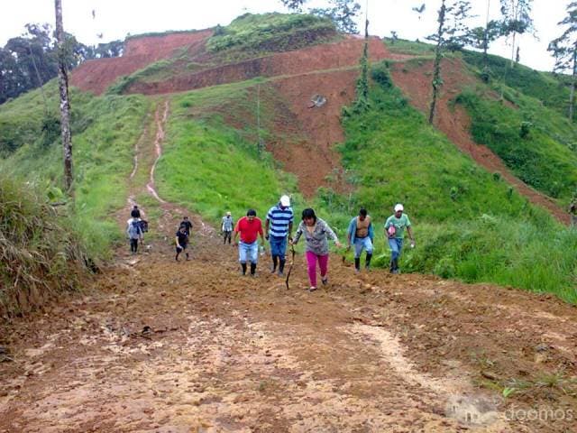 Venta de finca de 50 Hectareas - 1
