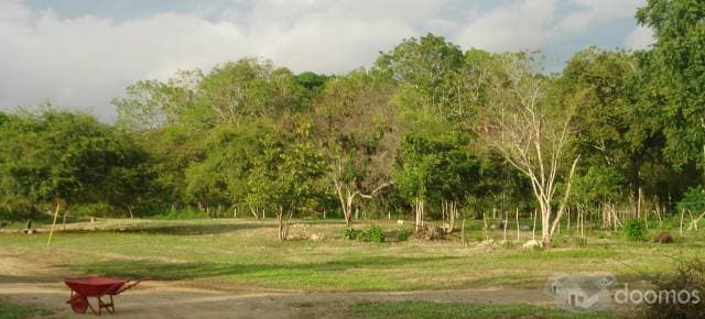 OLON Terrenos en venta - 1