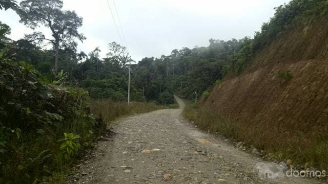 Vendo finca de 42 hectáreas coca tena 0968939513 062892035 - 1