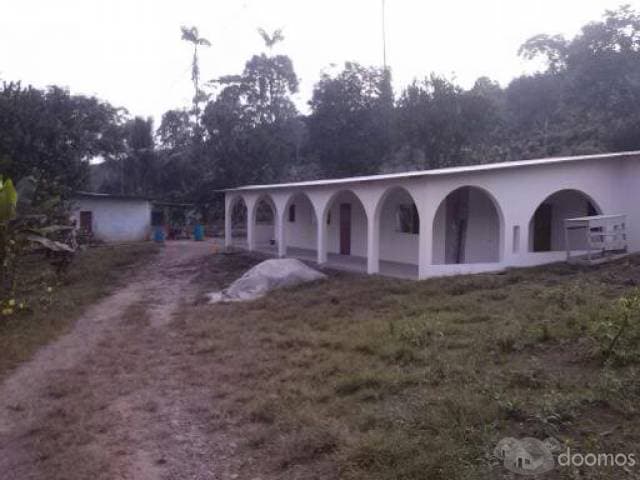 FINCA EN VENTA - 1