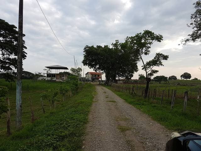 Venta de Finca en Vinces / Proyecto Inmobiliario - 1