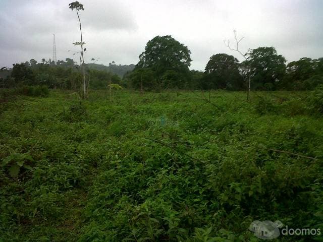20 hect de terreno para construir camaronera - 1