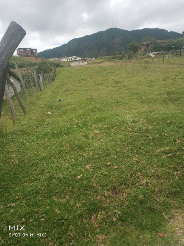 LOTE EN  VENTA PARA UN PROYECTO AGRICOLA, LOTE DOS  1869.25 M2 ,TOPOGRAFIA  PLANA CON LOS SS.BB. - 1