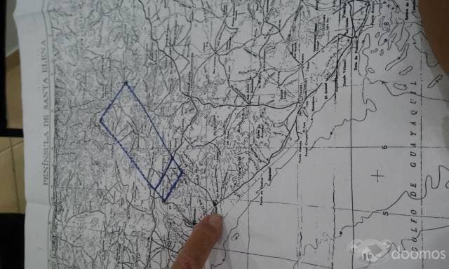 HERMOSA FINCA PRODUCTIVA IDEAL PARA PAJA TOQUILLA - 1
