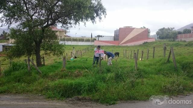 LOJA SE VENDE HERMOSO LOTE EN URB ALTOS DEL VALLE - 1