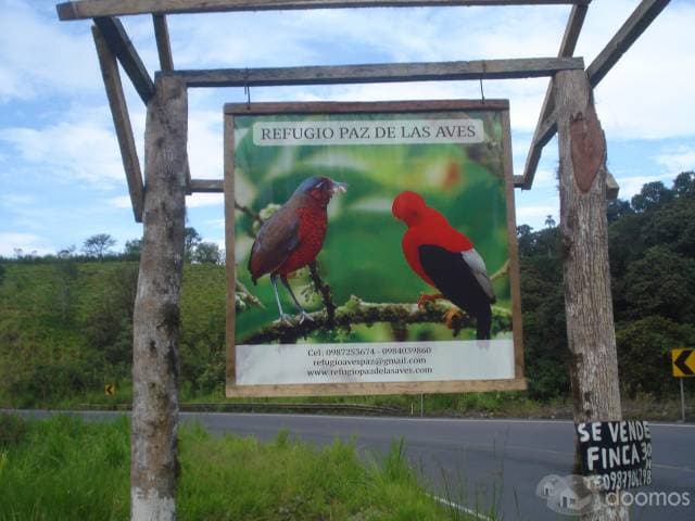 Vendo Linda Finca Vía Calacalí los Bancos 3 1/2 hectareas. 0998950348 - 1