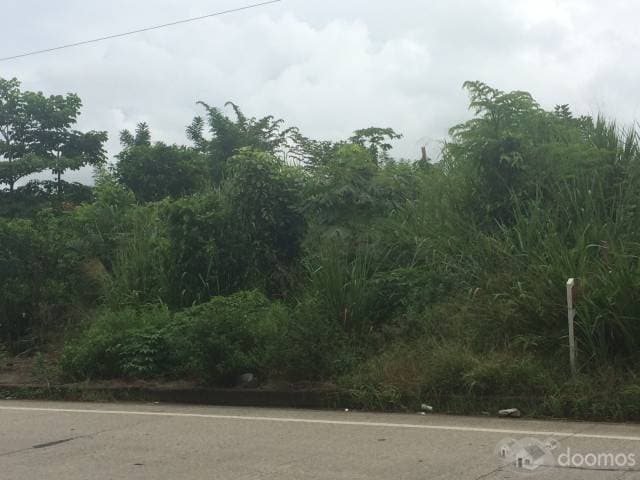 VENDO LINDO LOTE DE TERRENO A 5 MINUTOS DE PEDERNALES - 1