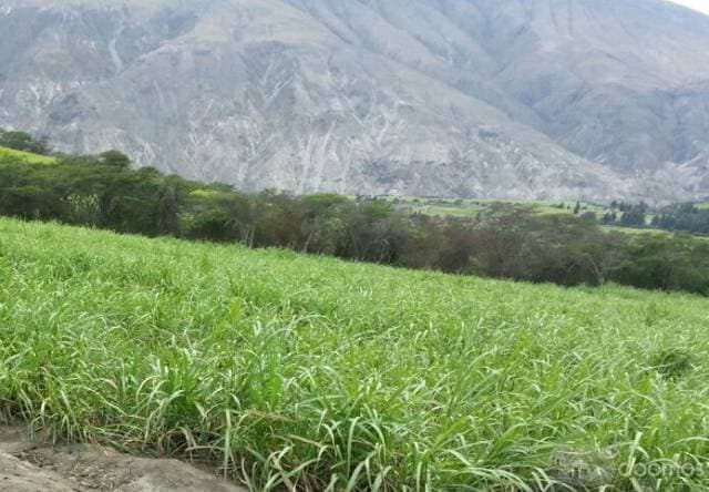 Vendo Finca 135 has en Salinas de Imbabura - 1