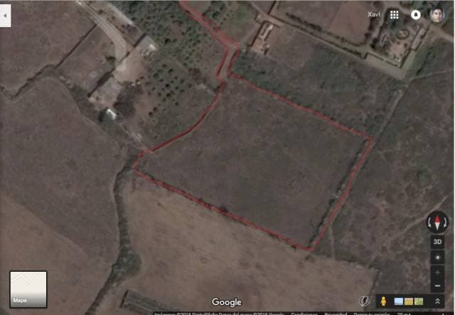 VENDO TERRENO DE 10.000 m2.  TOTALMENTE PLANOS - 1