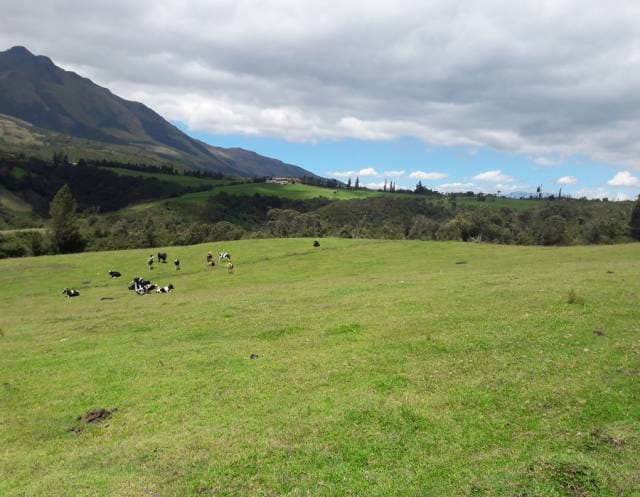 VENDO HERMOSA PROPIEDAD DE 92 HECTÁREAS EN OTAVALO - 1