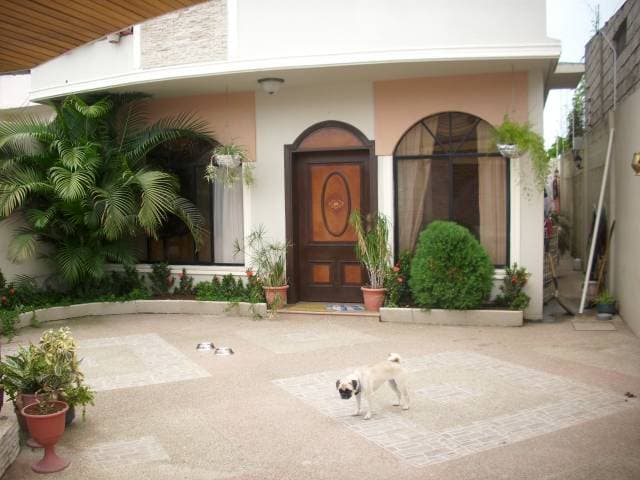 Casa de dos plantas con garage - 1