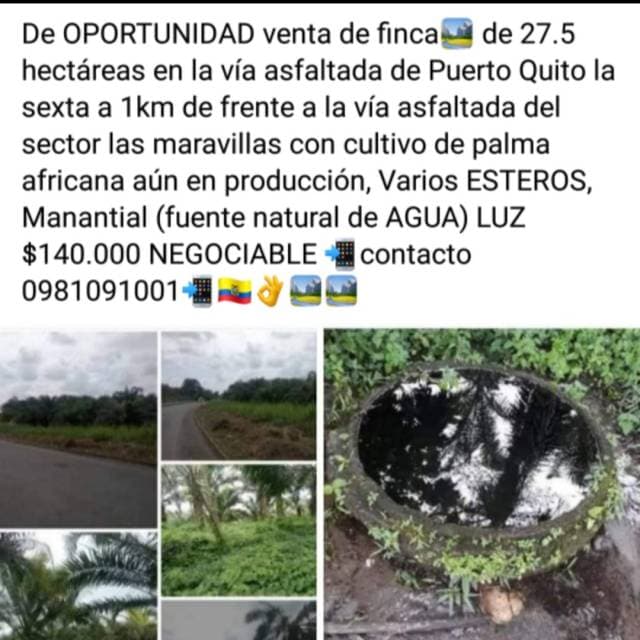 DE OPORTUNIDAD VENTA FINCA - 1