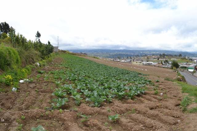 VENTA DE TERRENO EN SECTOR DE ALTA PLUSVALIA - 1