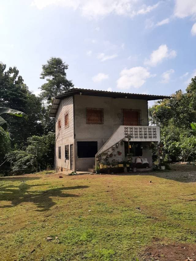 Vendo Finca de 29 Hectáreas - 1