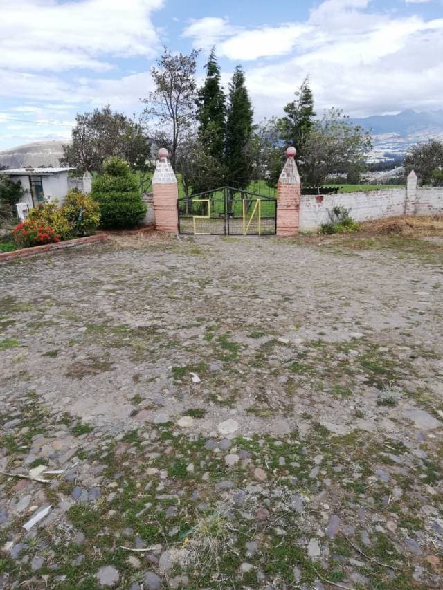 Hacienda Ganadera en Cayambe - 1