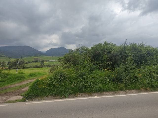 UNA HECTÁREA PLANA A LA PANA VÍA CAYAMBE OLMEDO - 1