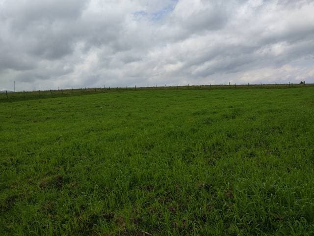 VENTA DE 3 HECTÁREAS EN CARIACU- CAYAMBE - 1