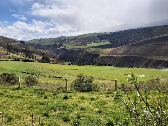 HACIENDA DE 92 HECTÁREAS UBICADA A 30 MINUTOS DE CAYAMBE - 1