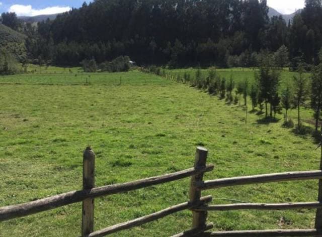VENDO PROPIEDAD AGRÍCOLA AL NORTE DE CAYAMBE - 1