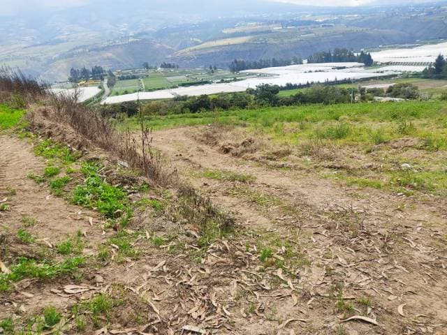 EN VENTA PROPIEDAD EN EL SECTOR DE OTÓN - 1
