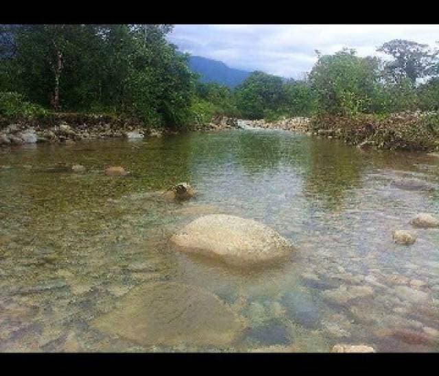 Mera 25000m2 junto al rio Alpayacu - 1