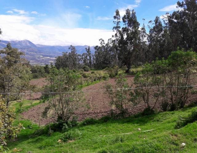 PROPIEDAD DE 15 HECTÁREAS EN OTAVALO - 1