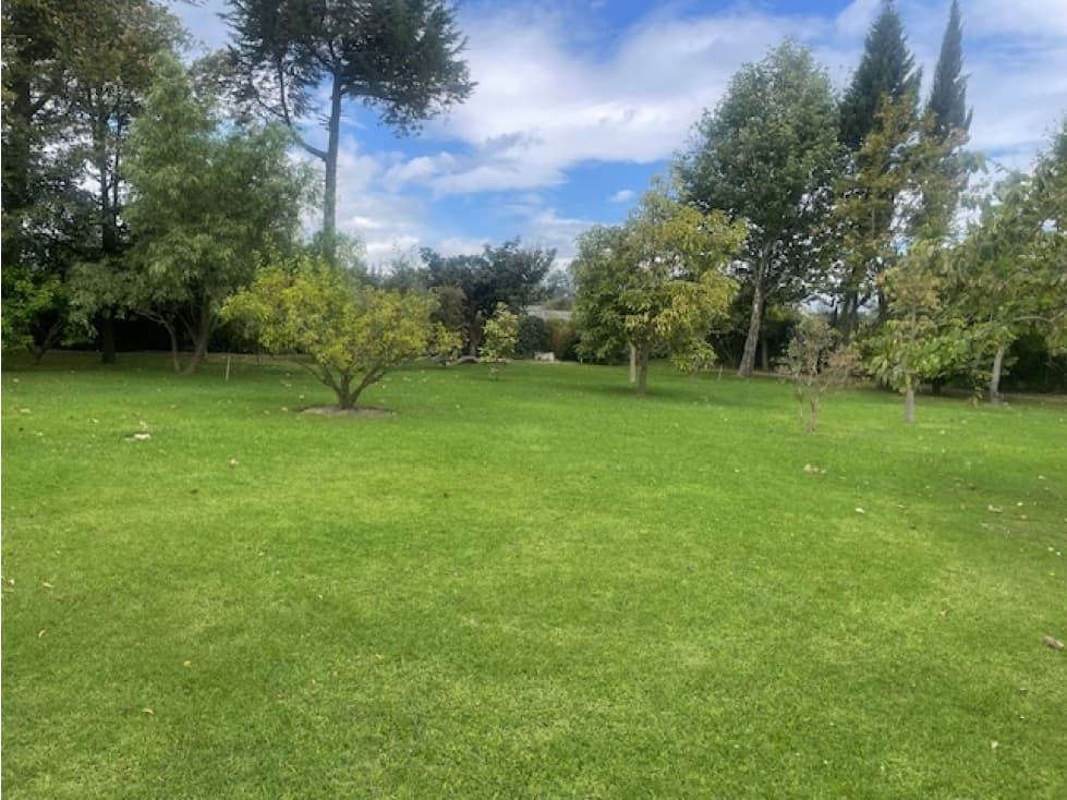VENTA TERRENO 1214 M2 EN PUEMBO SECTOR COLEGIOS - 1