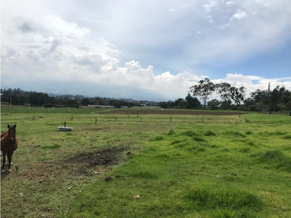 Terreno de 19,590 m² en el Sector Puembo - La Palma. - 1