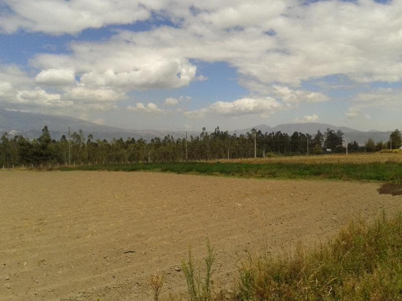 Tababela, Terreno de Venta Totalmente Plano 5 Has - 1