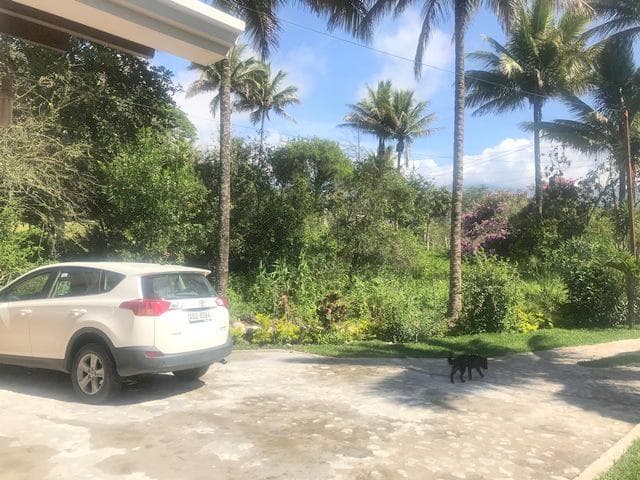 Excelente Finca en venta ubicada en Yunguilla con 36.000m2T Cuenca - 1