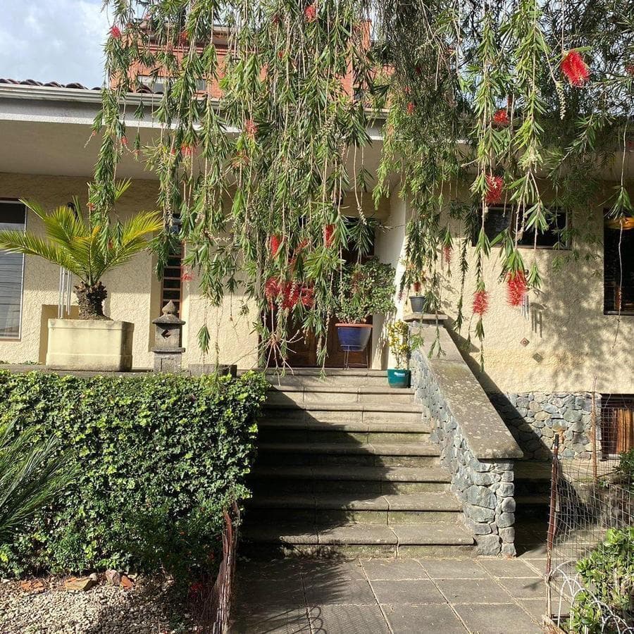 CASA COMERCIAL EN RENTA, SECTOR REMIGIO CRESPO - 1