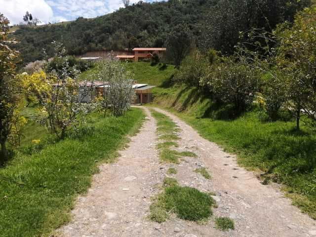 Hermosa quinta en venta por estrenar con 10.000m2T sector Tutupali Chico - 1