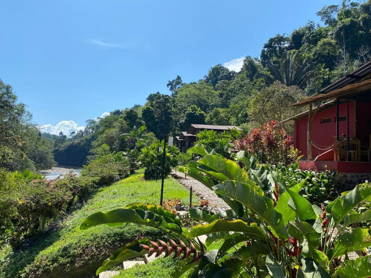 Proyecto Turistico en venta Archidona Napo Oriente Amazonia - 1