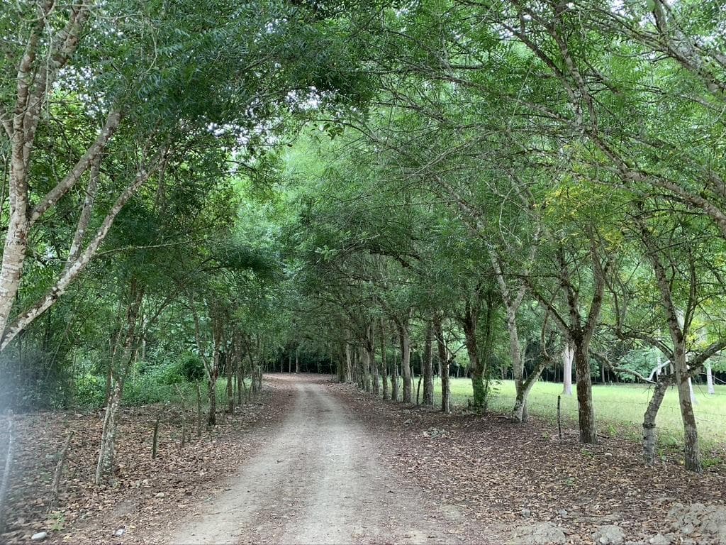 VENTA DE MACROLOTE EN OLON VIA SAN VICENTE DE LOJA EXCELENTE INVERSION - 1