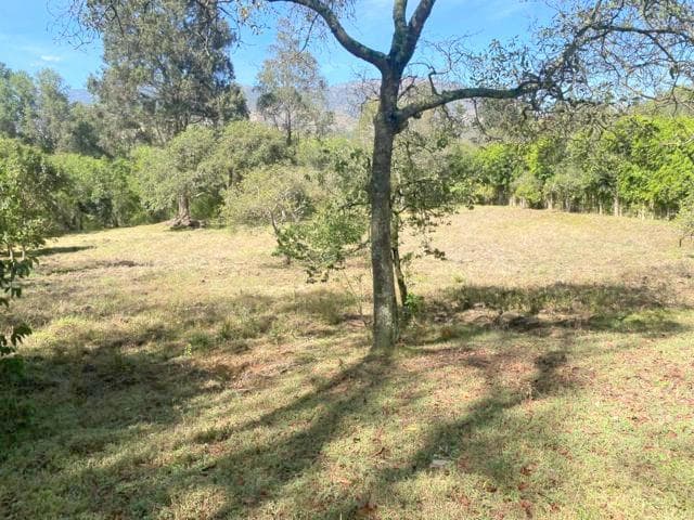 Propiedad en venta con 10.000m2 de terreno, en Gualaceo sector Cértag - Cañar - 1