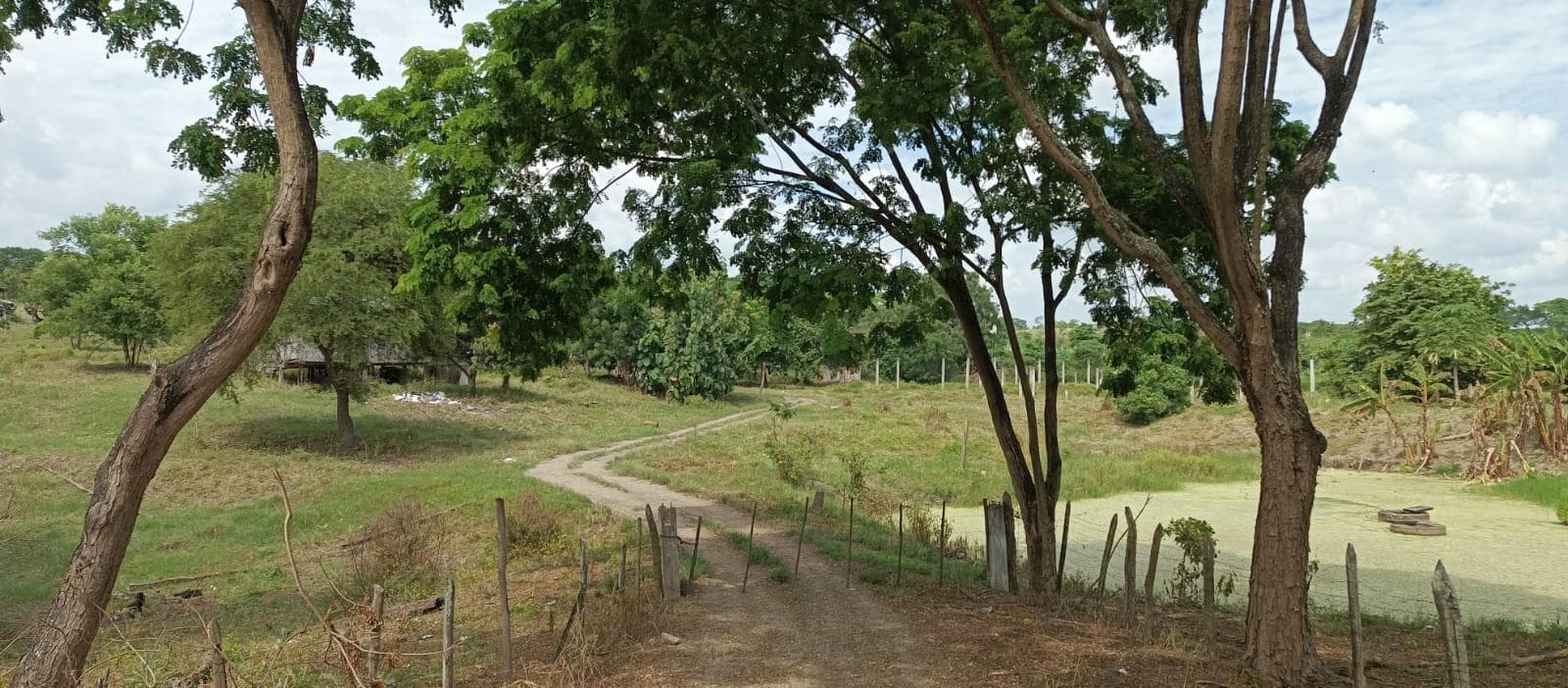 Finca en venta en Tosagua, Manabí - 1