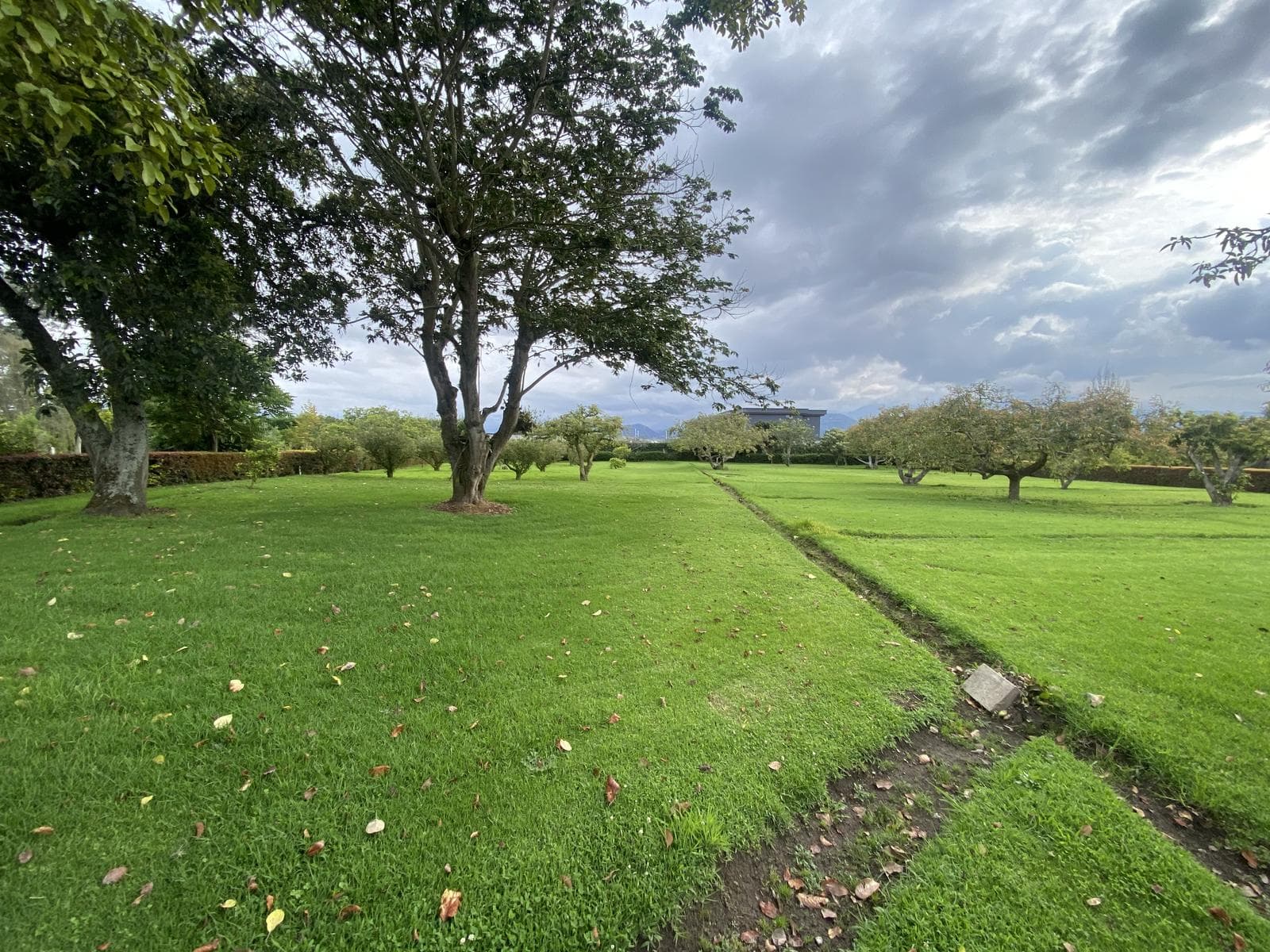 Terrenos de venta dentro de Urbanización en Puembo. Espectaculares, los mejores de Puembo - 1