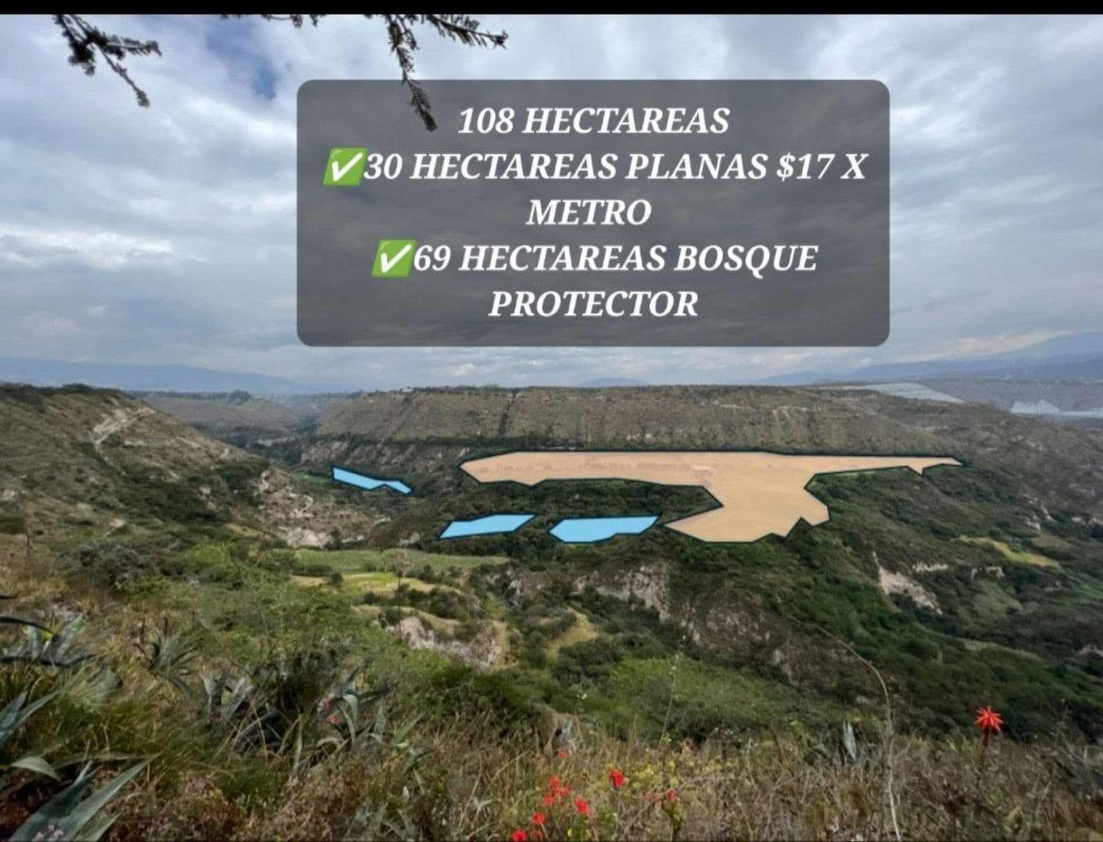VENTA HACIENDA 30 HECTAREAS 69 HECTAREAS BOSQUE PROTECTOR TABABELA YARUQUI PIFO - 1
