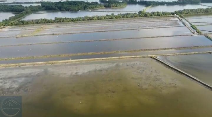 Camaronera en venta Provincia de Esmeraldas - 1