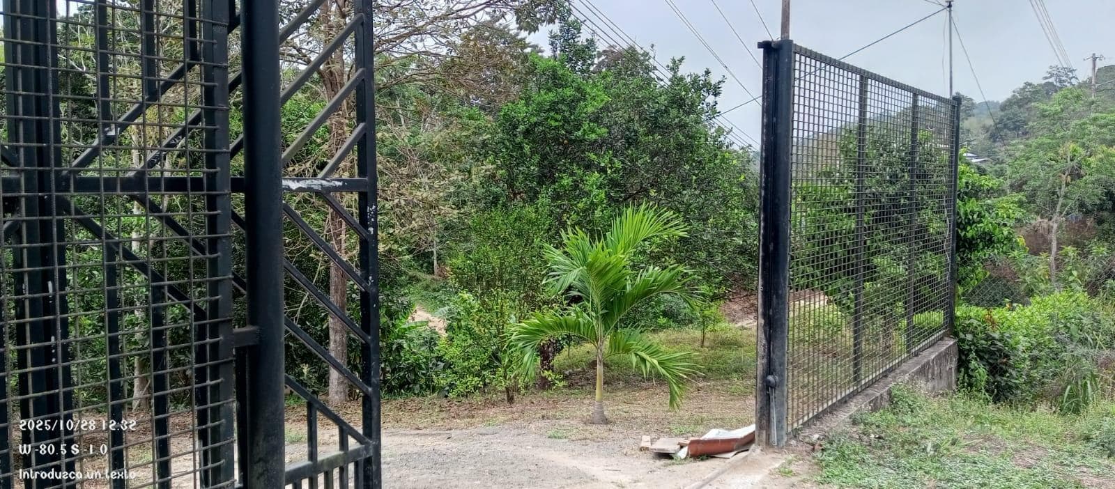 SE VENDE FINCA EN SITIO EL LIMON-RICAURTE-CHONE - 1