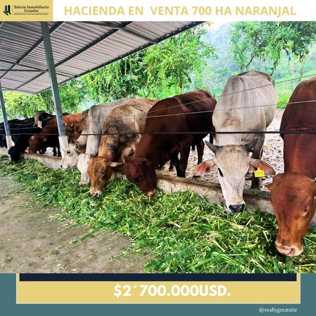 HACIENDA GANADERA EN VENTA 700HECTÁREAS NARANJAL - 1