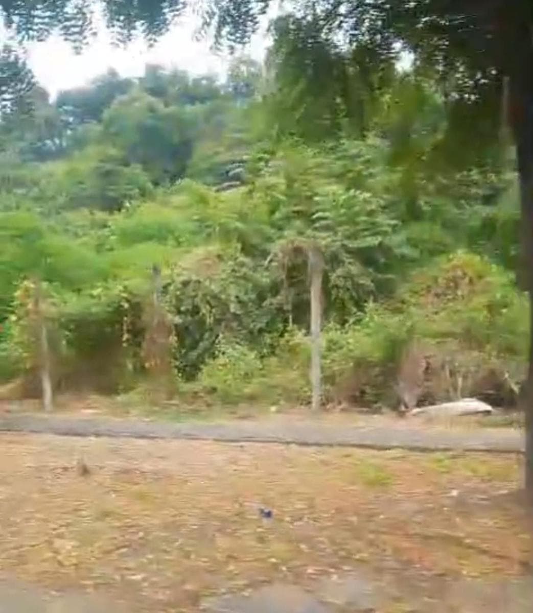 Terreno en Centro de Guayaquil - 1