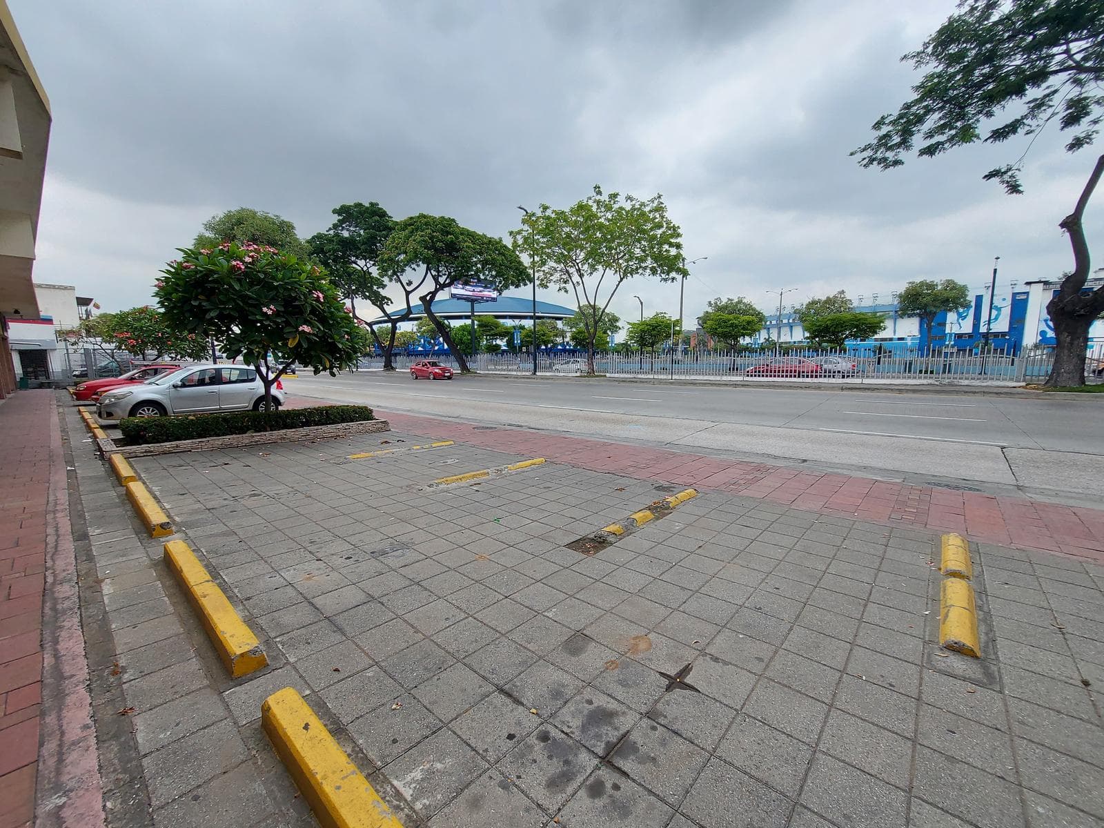 Local Comercial en la avenida de las Américas - 1