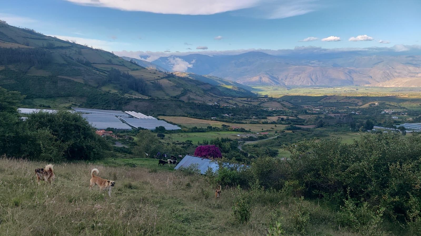 Finca en Ibarra - 1
