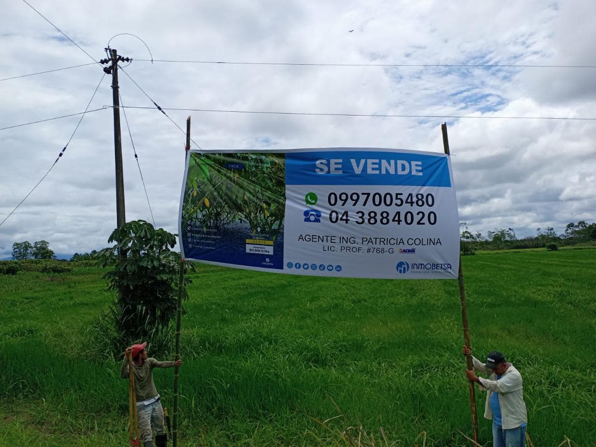 Se VENDE Finca con producción de ciclo corto en la Vía San Carlos, Quevedo - 1