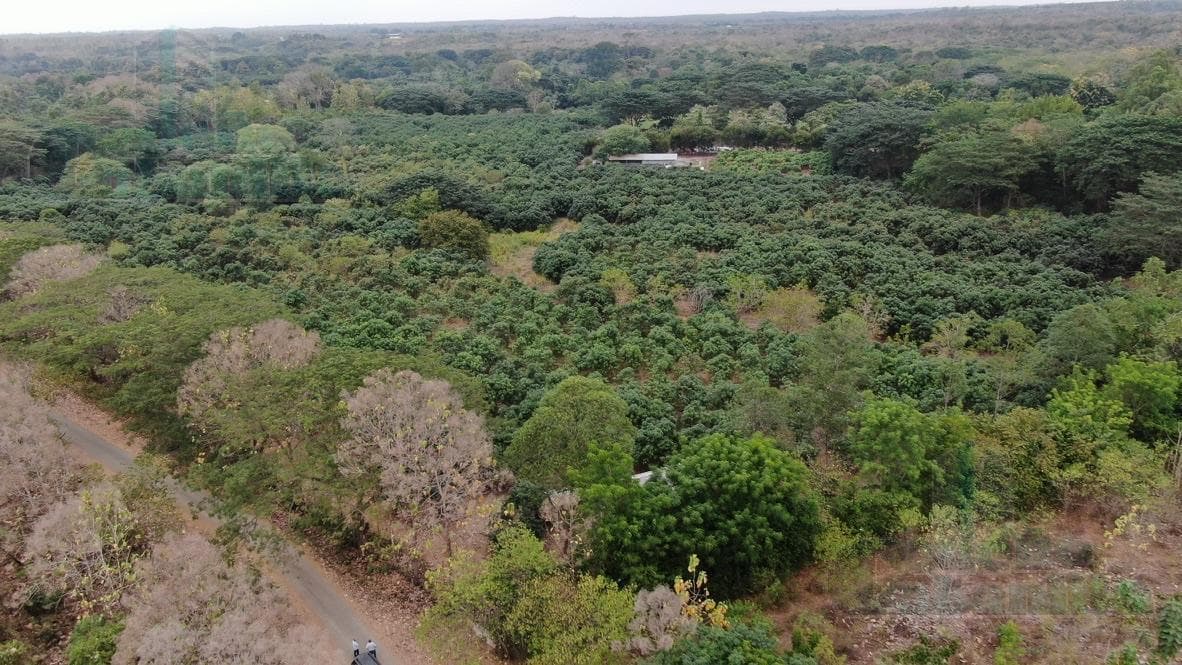 VENTA DE QUINTA UBICADA EN LA VÍA GUAYAQUIL SALINAS KM. 27, PARROQUIA CHONGÓN - 1