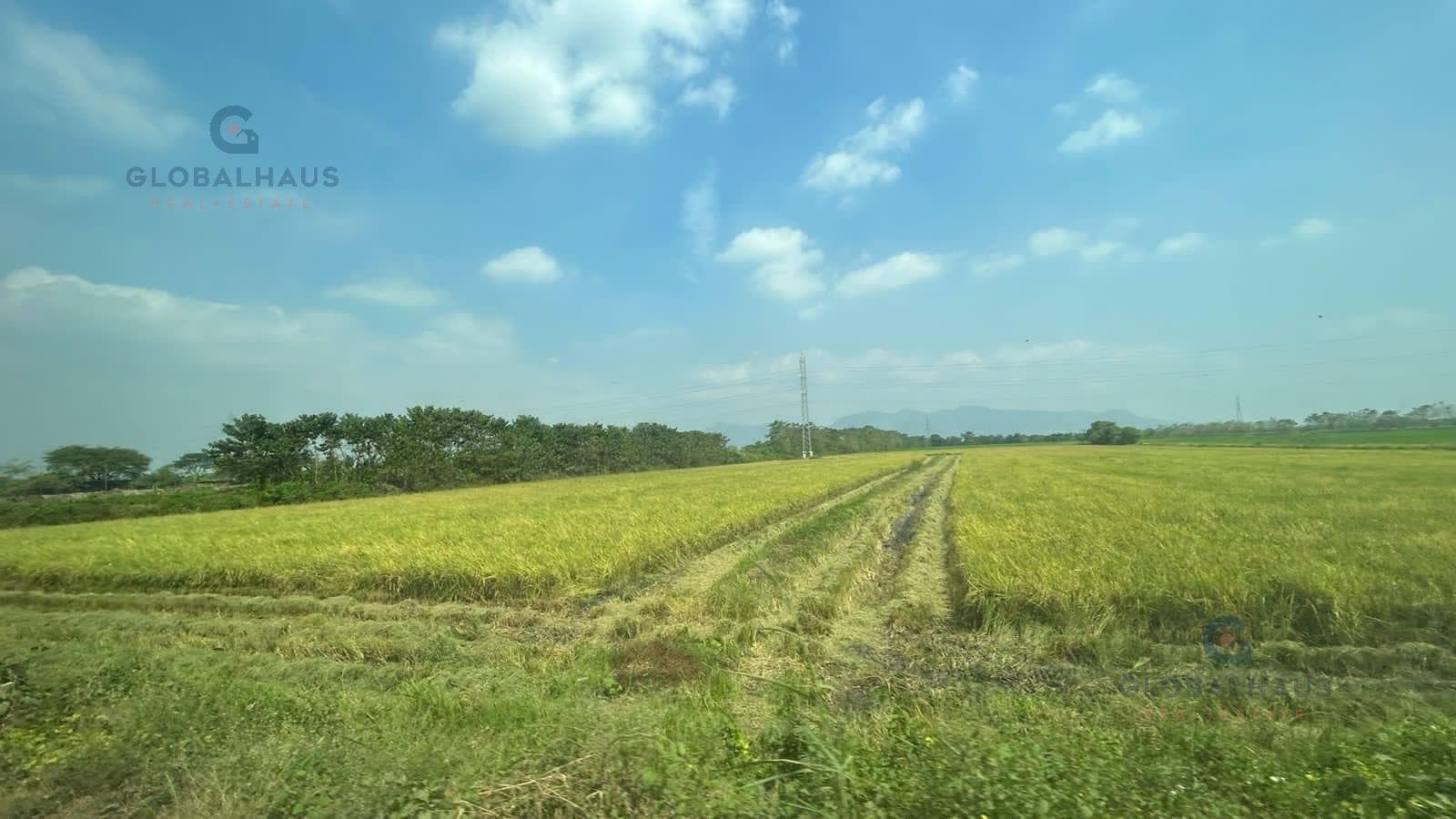 Venta de Finca arrocera al Sur de Naranjal, 19.89 Has. M.G. - 1
