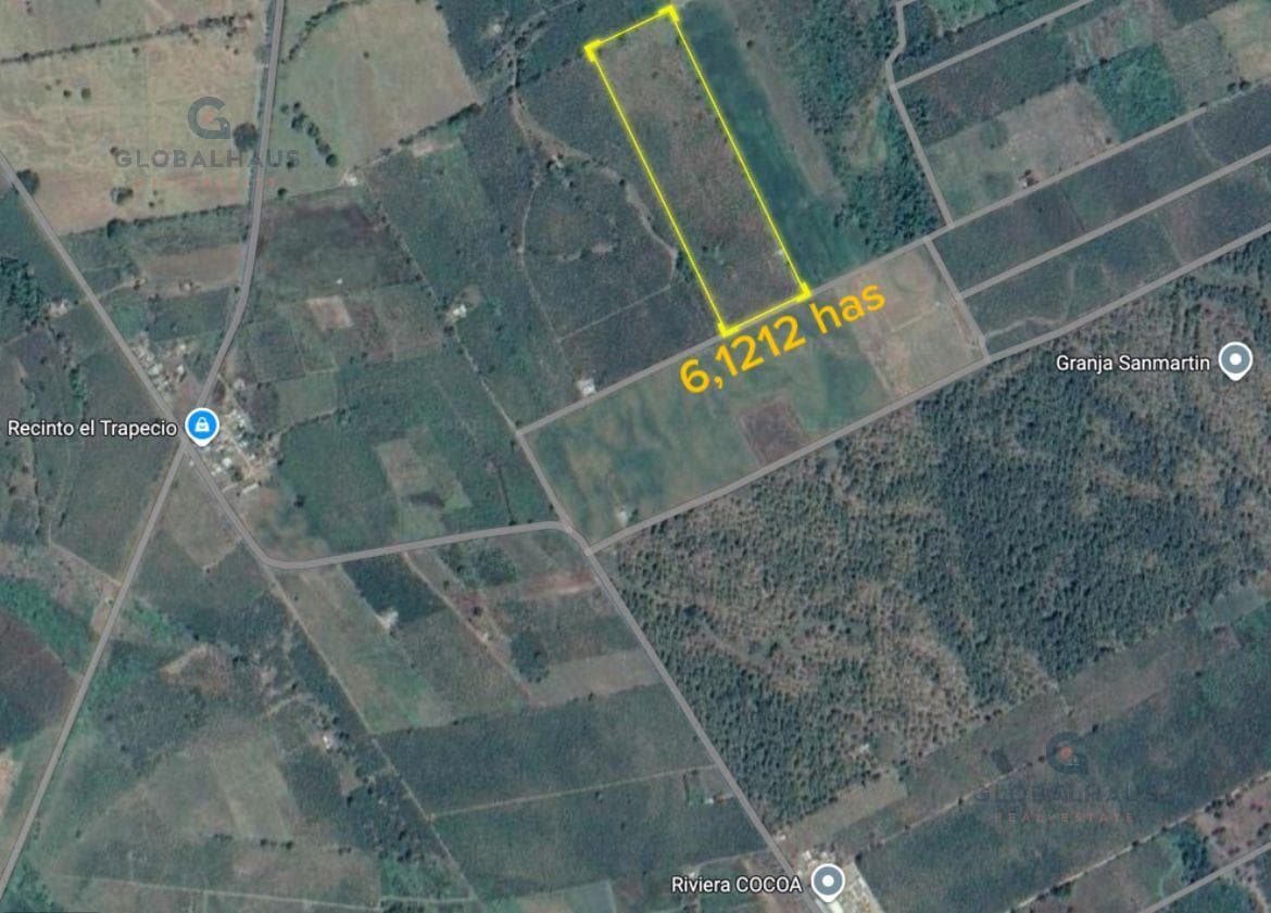 Venta finca cacaotera en Recinto El Trapecio Babahoyo, 6,12 Ha, E.j. - 1